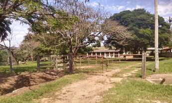 Imagem: Excelente Fazenda para Gado em Piracicaba