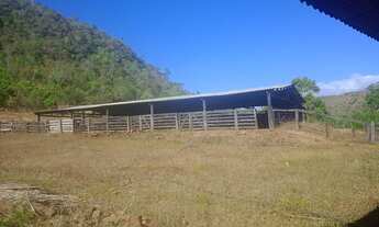 Imagem 14: VENDO FAZENDA COM 55 ALQUEIRES
