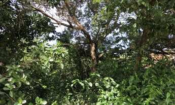 Imagem 4: Esquina na Praia da Pipa - ótimo preço!