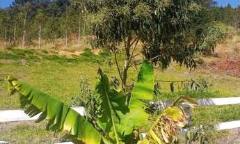 Imagem 5: Terreno para chácara em Camanducaia!!