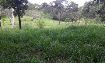 Imagem 3: Chácara no Flores e Floresta em Betim