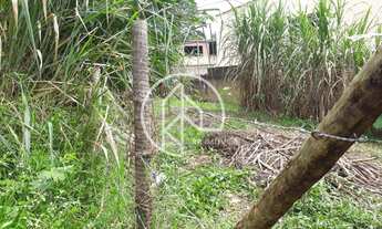 Imagem 6: Lote/Terreno para venda com 290 metros quadrados em São Pedro - Juiz de Fora - MG