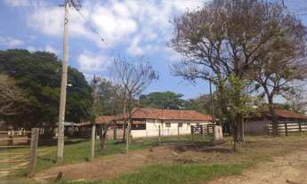 Imagem 2: Excelente Fazenda para Gado em Piracicaba