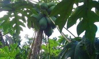 Imagem 5: Jaboticatubas - Casa de Condomínio - Condomínio Vale Do Luar