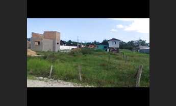 Imagem: Rua das hortências loteamento primavera