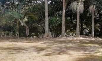 Imagem: Chácara com 2 dormitórios à venda, 1039