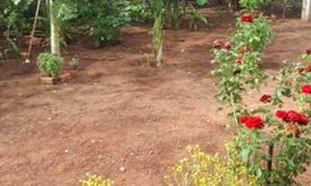 Imagem 6: Vendo Sítio Próximo a Pedra Preta-MT