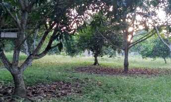 Imagem 4: Casa boa Terreno 7.500m²