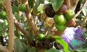 Imagem 5: Cobertura com 2 dormitórios à venda, 103 m2 por R$ 1.800.000,00 - Bela Vista - São Paulo/S