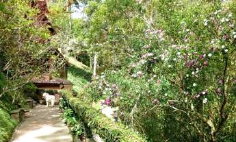 Imagem 7: Casa em Mury - Nova Friburgo - RJ