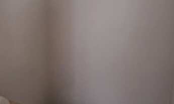 Imagem 7: BELO HORIZONTE - Casa Padrão - Santa Amélia