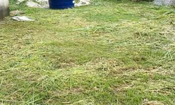 Imagem: Terreno com meia água