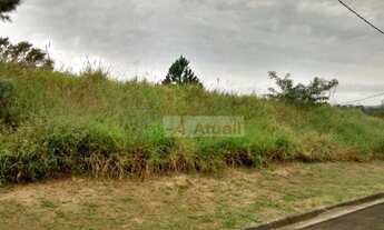 Imagem: Terreno rural à venda, Joaquim Egídio