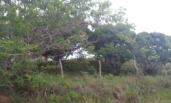 Imagem 2: Terreno Terreno / lote com venda por R$120.000