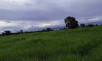 Imagem 4: 248 Alqs Pra Gado Boa Água Logística e Terra Entrada + Uma Centenário TO