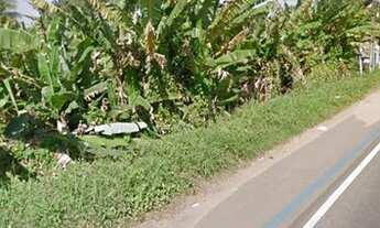 Imagem 2: Terreno 92mil M2 Frente a Pista