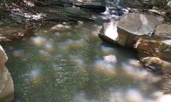 Imagem 4: Chácara em Mairipotaba a 80 km de Goiânia com córrego energia chácaras 20.000 metros