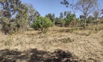 Imagem 3: Vendo ou troco Chácara com venda por R$35.000