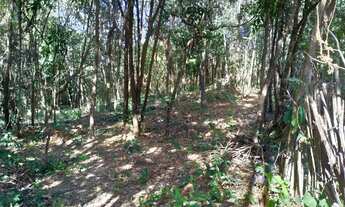 Imagem 2: Lote à venda, Vila Ipê Amarelo - Contagem/MG