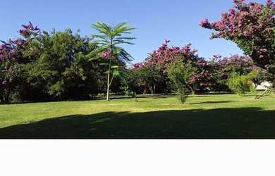 Imagem 3: Linda Casa Casa com 5 dormitórios