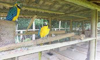 Imagem 5: Jaboticatubas - Haras - Centro