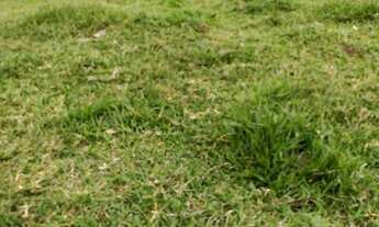 Imagem 2: Chácara em Igaratá 2.000m²