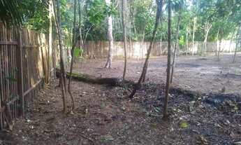 Imagem 2: Vendo Terreno de 800m², Alter do Chão, Cidade dos Pássaros, Estrada para Pindobal