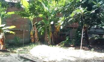 Imagem 4: Casa para venda com 2 quartos em um terreno de 1 mil metros quadrados