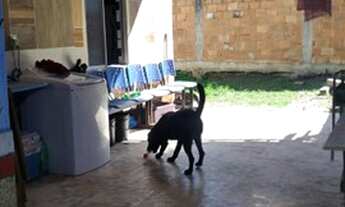 Imagem 4: Vendo Casa, Cabo Frio