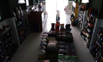 Imagem 7: Passo Ponto comercial/Loja Vastante Movimentado