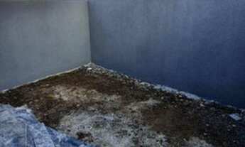 Imagem 6: Casa para Venda em Ponta Grossa, Oficinas, 2 dormitórios, 1