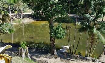 Imagem 3: Sítio km 42 Am-010