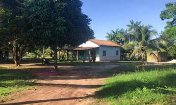 Imagem: Vendo ou alugo casa na com. Estrada Nova