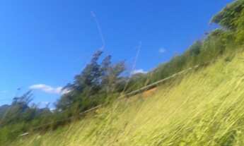 Imagem 6: Terreno com 2600 m2- em Santa Mônica Itaipava - Petrópolis - RJ