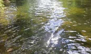 Imagem 3: Fazendinha Chácara com venda por R$280.000