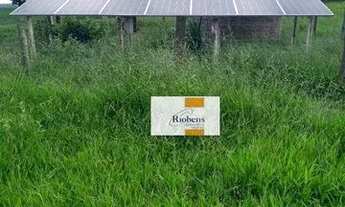 Imagem 4: Sitío em Auriflama quase 8 alqueires