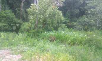 Imagem 2: Terreno ubatumirin Vila Rolim