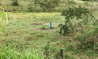 Imagem 3: Terreno 11.7 hectares 03 Irmãos Aracruz ES plano exc, plantio café