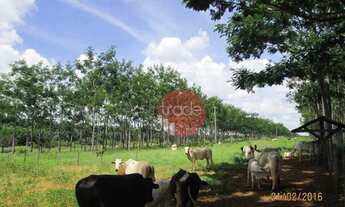 Imagem 4: Fazenda com 1 dormitório à venda, 8820000 m² por R$ 22.000.000,00 - Centro - Buritizeiro/M