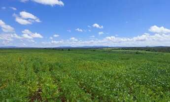 Imagem 2: Fazenda entre Colinas do Sul e Cavalcante de Goiás!!!