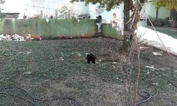 Imagem 7: Venda Residential / Home 4 Quarto(s)<br> 4 Vaga(s)<br> Chacara Cotia