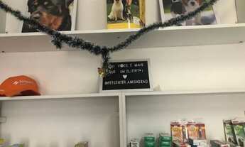 Imagem 2: Vendo Pet Shop todo estruturado