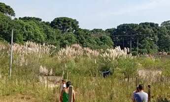 Imagem 4: Terreno de repasse fazenda rio grande