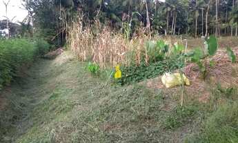 Imagem 4: Casa de Madeira Casa com 3 dormitórios