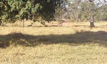 Imagem 5: Chácara Hidrolândia 3.000 M², Ótimo Local Para Morar, Plantar Produzir, com água encanada!