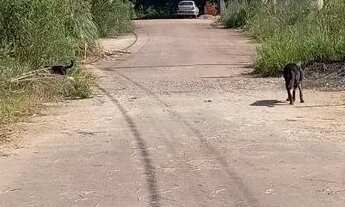 Imagem 2: Terreno de repasse fazenda rio grande