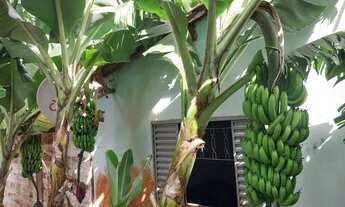 Imagem 4: Chácara recanto dos 18