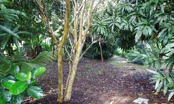 Imagem 6: Vende- chácara Chácara com venda por R$80.000