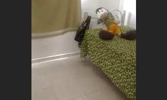 Imagem 4: Alugo apartamento