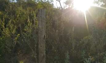 Imagem 3: Terreno para chácaras